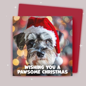 Kerstkaart / Ik wens je een fijne kerst / Schnauzer draagt een kerstmuts