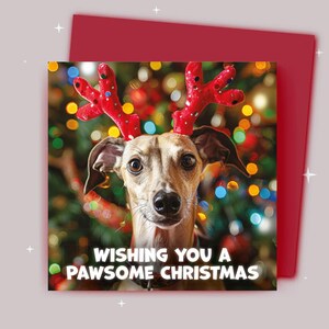 Kerstkaart / Ik wens je een fijne kerst / Greyound met kerstgewei