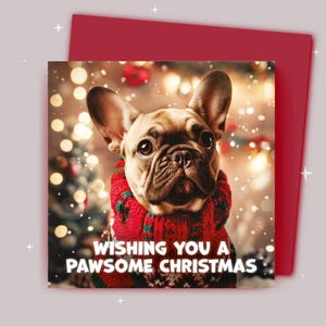Weihnachtskarte / Schöner Weihnachtsgruß / Französische Bulldogge im Weihnachtspullover