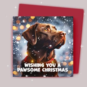 Weihnachtskarte / schokofarbiger Labrador in einer weihnachtlichen Schneeszene