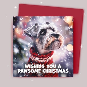 Weihnachtskarte / Weihnachtswunsch / Schnauzer im Weihnachtspullover