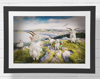 Goat Picture - the Great Orme Summit