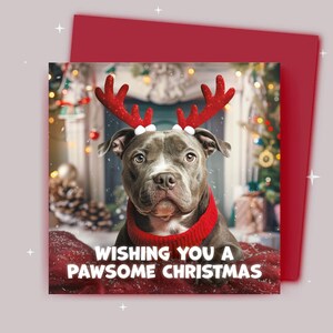 Kerstkaart / Ik wens je een fijne kerst / Staffordshire-bulterriër met kerstgewei