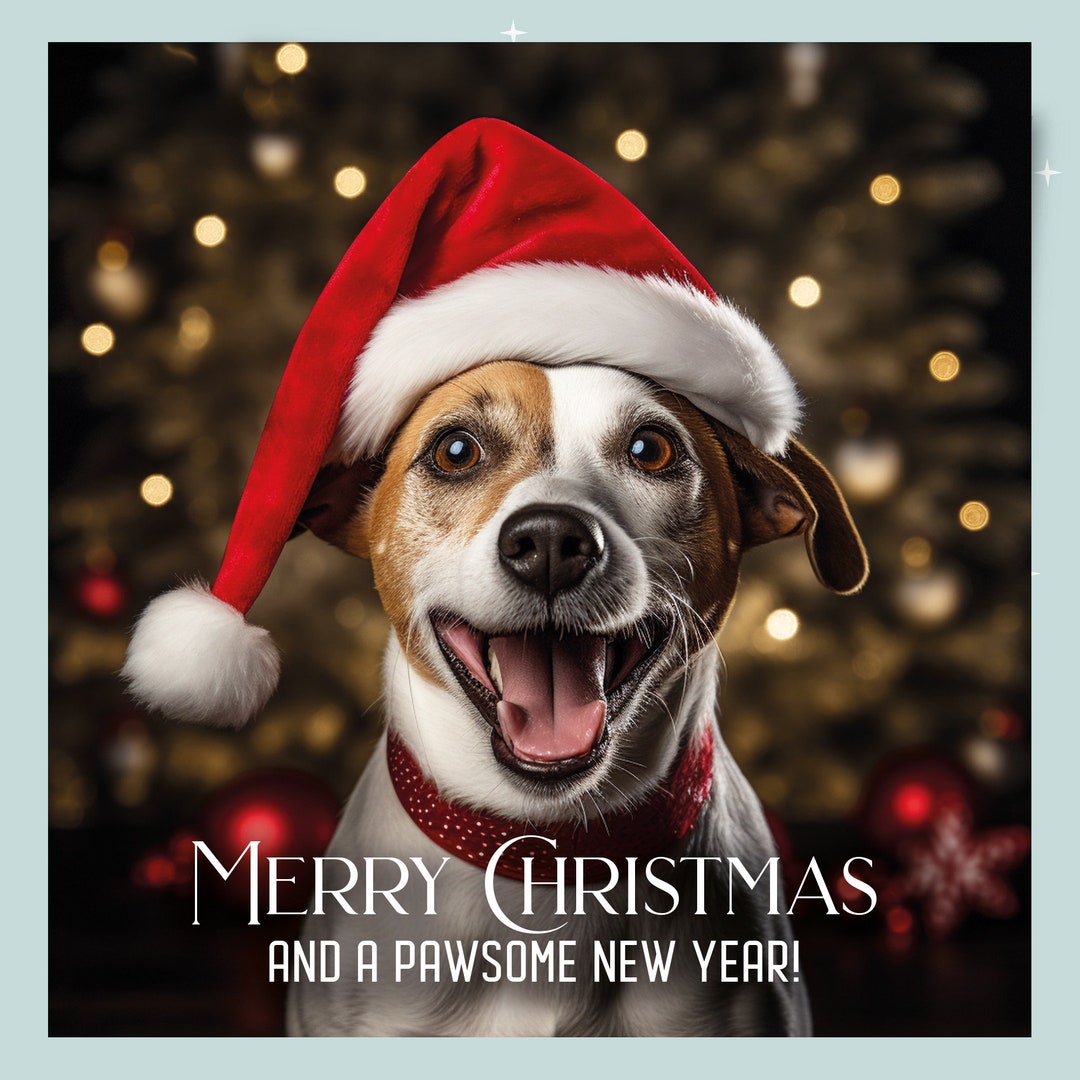 Weihnachtskarte Frohe Weihnachten und ein tolles neues Jahr Jack Russel  Terrier trägt eine Weihnachtsmütze Österreich