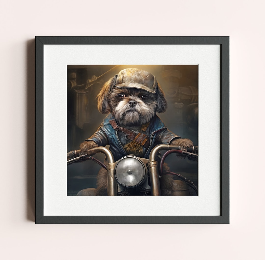 Picture - Shih Tzu Dog Riding a Motorbike - Etsy