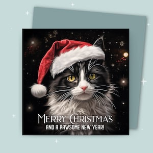 Cartolina di Natale / Buon Natale e uno splendido anno nuovo / Gatto bianco e nero che indossa un cappello natalizio