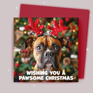 Kerstkaart / Ik wens je een fijne kerst / Boxer met kerstgewei