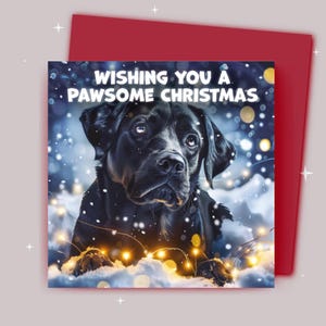 Kerstkaart / Ik wens je een fijne kerst / Zwarte labrador in een sneeuwlandschap