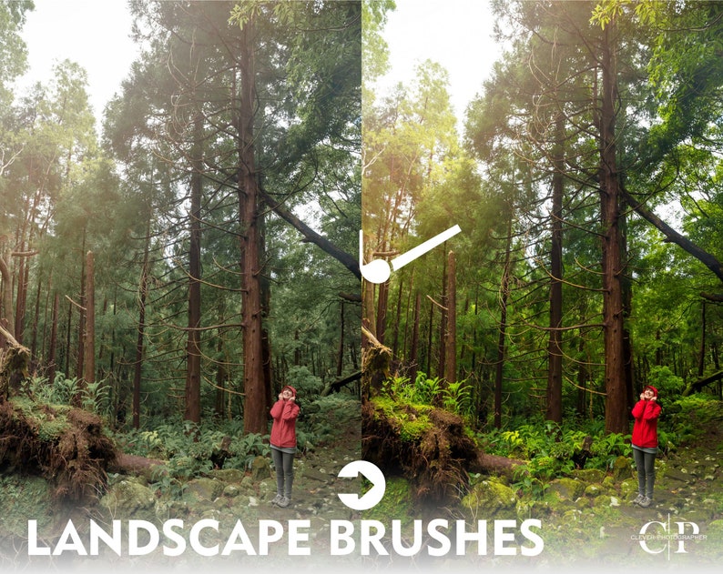 NEW 12 Lightroom BRUSH Presets LANDSCAPE Brush Presets Landscape
