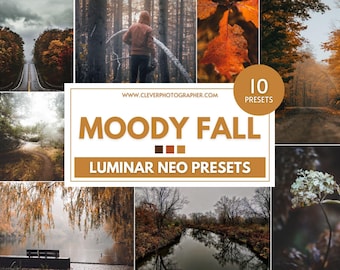 10 ajustes preestablecidos de otoño y melancolía de Luminar NEO de Jakub Bors / Filtros fotográficos no destructivos ajustables para ediciones RAW y JPEG impresionantes / Skylum