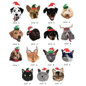 Personalised Pet Stocking image 3