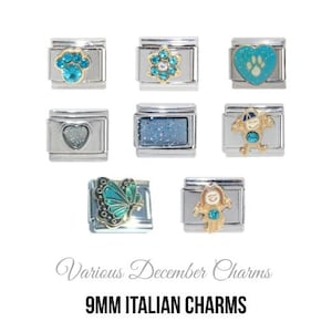 Various December Birthstone - Birthmonth 9mm Italian charm  - 9mm classic Italian charms