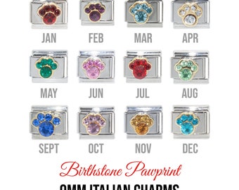 Birthstone pawprint 9mm Italian charm  - 9mm classic Italian charms