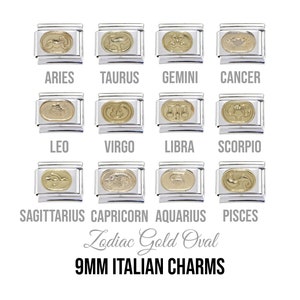 Gold Oval Zodiac enamel - 9mm classic Italian charms