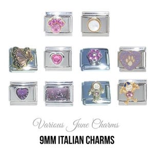 Various June Birthstone - Birthmonth 9mm Italian charm  - 9mm classic Italian charms