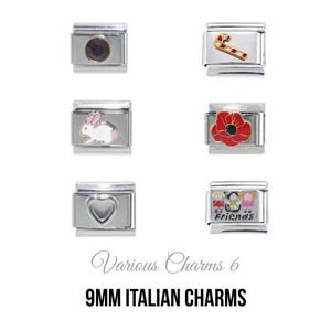 Pode incluir: Seis berloques italianos de 9 mm com vários designs. Os berloques incluem um bastão de doces, uma papoula vermelha, um coelho branco com orelhas cor-de-rosa, um coração, um berloque com amigos e um círculo escuro.