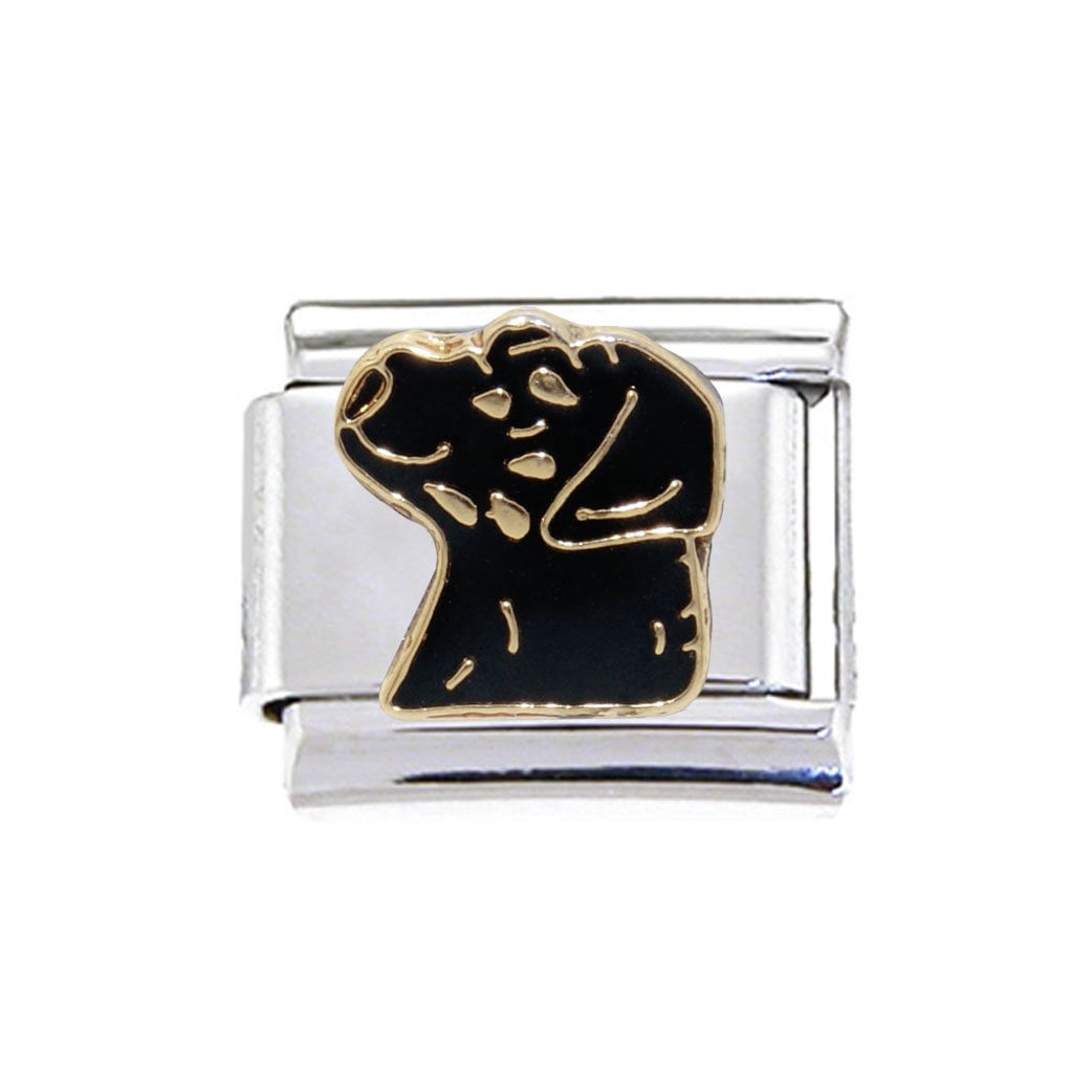 Nomination charm deals dog