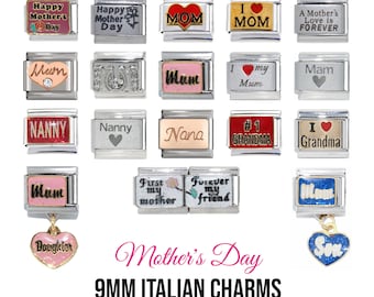 PINK HANDBAG RHINESTONES Dangle Italian 9mm Charm NC260 Fits Nomination Classic PINK HANDBAG RHINESTONES Dangle Italian 9mm Charm NC260 Fits Nomination Classic