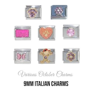 Various October Birthstone - Birthmonth 9mm Italian charm  - 9mm classic Italian charms