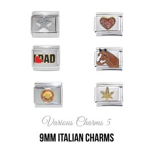 Varios Charms Mixtos 5 - Charm Italiano 9 mm - Charms Italianos Clásicos 9 mm