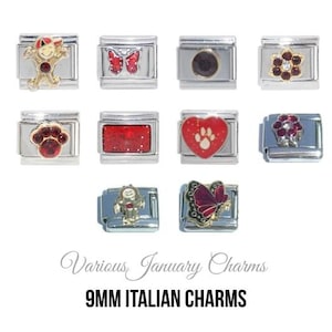Various January Birthstone - Birthmonth 9mm Italian charm  - 9mm classic Italian charms
