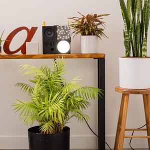 Wooden console table with black square metal legs, styled as a radiator shelf in a modern hallway with plants, books, and decorative objects on top.