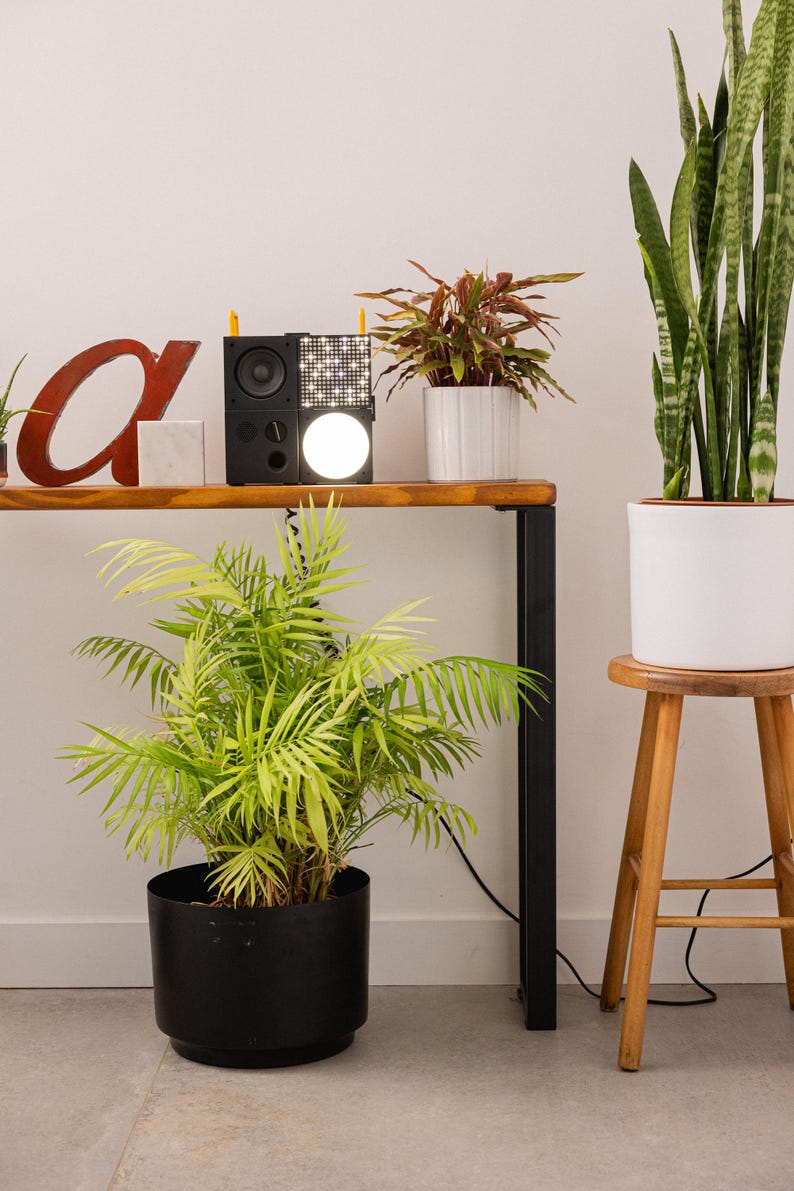 Wooden console table with black square metal legs, styled as a radiator shelf in a modern hallway with plants, books, and decorative objects on top.
