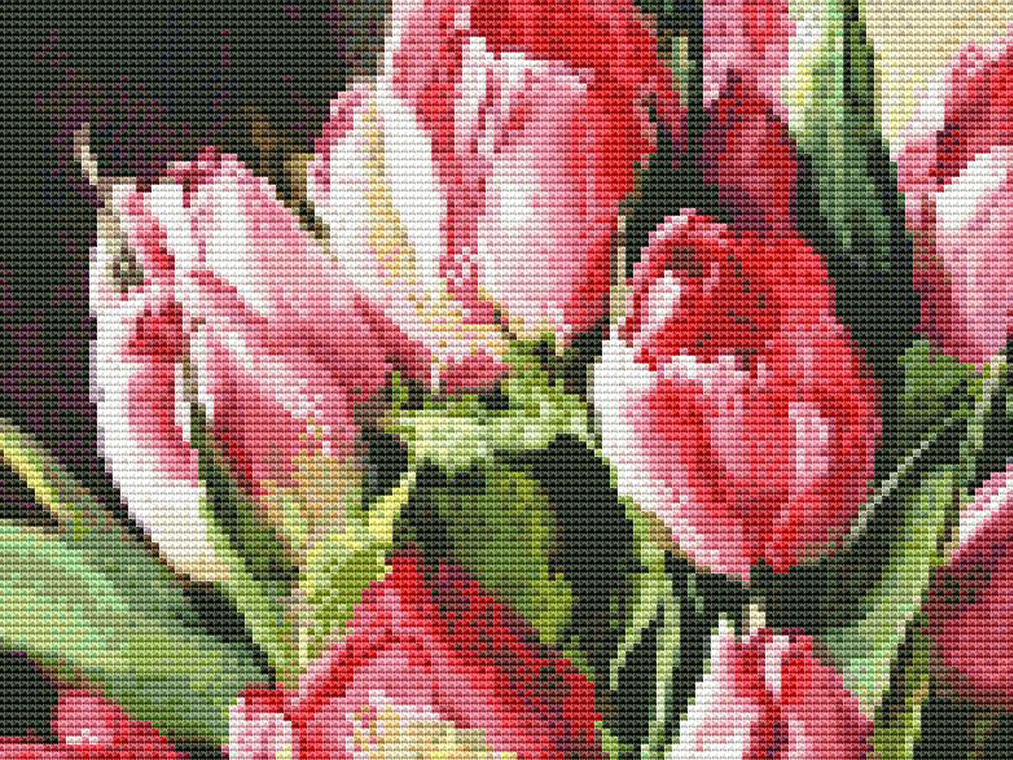 Tulips Counted Cross Stitch Pattern. Bouquet of Red Flowers Embroidery