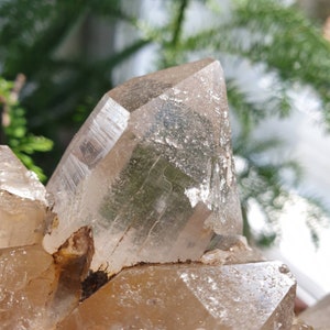 Rare Natural Raw Swiss Smoky Quartz Crystal Cluster Altar Decoration Piece