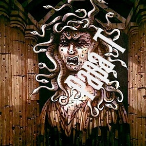 Puede incluir: Una ilustraci&oacute;n detallada de Medusa, una criatura m&iacute;tica griega con serpientes por cabello, una expresi&oacute;n feroz y una piel texturizada y escamosa. La imagen est&aacute; situada sobre un fondo de pilares de piedra.