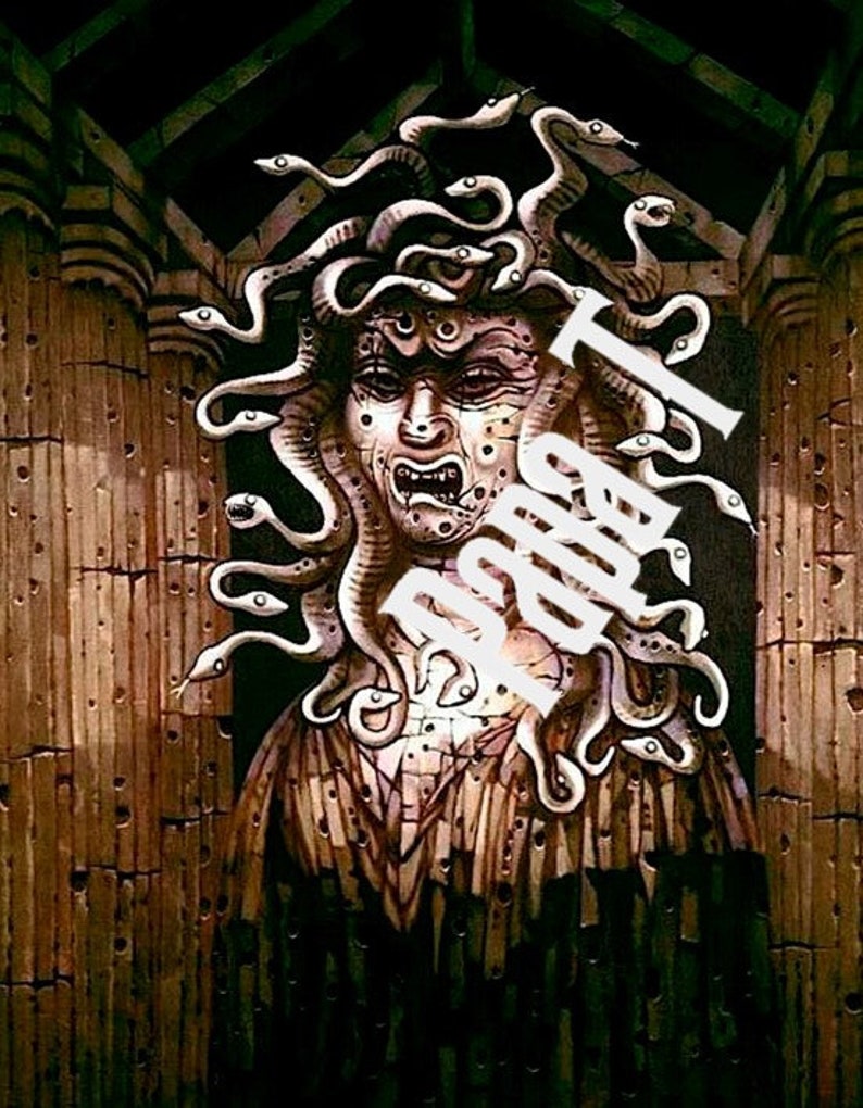 Puede incluir: Una ilustraci&oacute;n detallada de Medusa, una criatura m&iacute;tica griega con serpientes por cabello, una expresi&oacute;n feroz y una piel texturizada y escamosa. La imagen est&aacute; situada sobre un fondo de pilares de piedra.