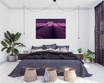 Provence lavender fields | sunrise | France | color | Contemporary Art Prints | landscape | fine art print | wall art | Canvas | Travel