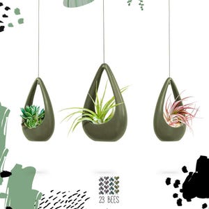 May include: Three olive-green teardrop-shaped hanging planters, each suspended by a thin wire. The planters hold different plants: a succulent, a spiky green plant, and a pink-tinged air plant. The logo "23 BEES" is visible at the bottom.