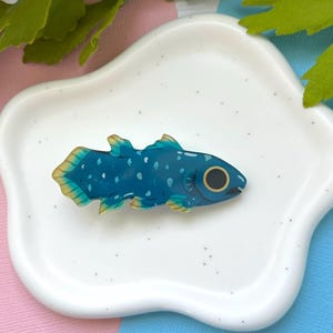 Coelacanth Acrylic Hair Clip