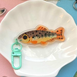 Könnte beinhalten: Ein klarer Acryl-Fisch-Schlüsselanhänger mit einem hellgrünen Verschluss. Der Fisch hat einen gelben Körper mit braunen Flecken und orangefarbenen Flossen. Er liegt auf einer weißen, muschelförmigen Schale. Weitere Fisch-Schlüsselanhänger sind im Hintergrund zu sehen.