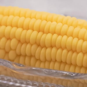 May include: Close-up of a yellow corn cob with kernels in a clear glass dish.