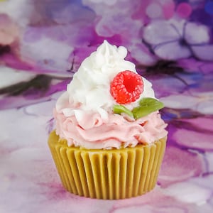 Cadeau cupcake, cadeau de Noël, savon de Noël, cupcake aux framboises, soeur maman, cadeau d&#39;institutrice, savon à l&#39;avoine, cadeau d&#39;anniversaire, cadeau pour elle, États-Unis, fait main