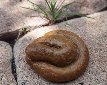 Fake Poop Soap Realistic Prank, The Oops Small Poo, Funny Gag Gift for Him, Dog Poop Joke, White Elephant Secret Santa Stocking Stuffer