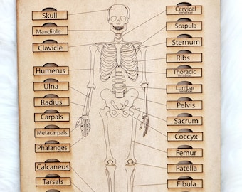 Wooden Skeleton Puzzle: Montessori Learning Tool, Human Anatomy