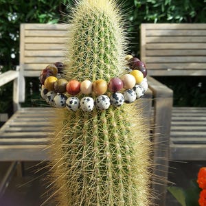 Può includere: Un braccialetto di perline multicolori con un cactus sullo sfondo. Il braccialetto è fatto di perline rotonde in tonalità di rosso, arancione, giallo, marrone e bianco. Le perline sono intervallate da perline macchiate di bianco e nero.