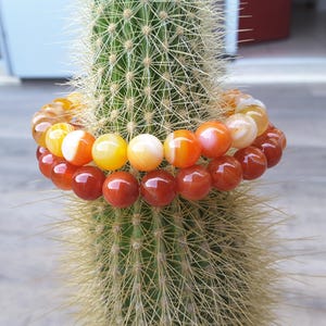 May include: Two bracelets made of carnelian beads. The top bracelet has orange and yellow beads with white stripes. The bottom bracelet has red beads. The bracelets are wrapped around a cactus.