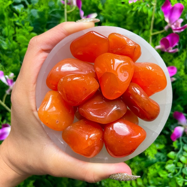 AA Grade Carnelian Tumbled Stone | Tumbled Stones | Tumblestone | Tumbled Gemstone | Healing Crystals | Botswana Carnelian