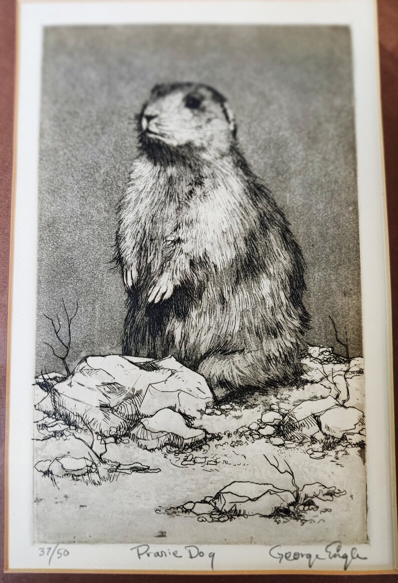 Engle Etching Original Art Prairie Dog Etching Wildlife Etsy