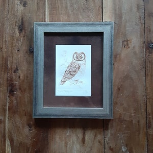 Owl Etching by Claude Zographos, Original Art, Claude Zographos Artist