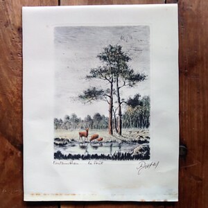 Maurice Jacques Etching, La Foret De Fontainebleu, French Art, Vintage Prints, Maurice Jacques Artist