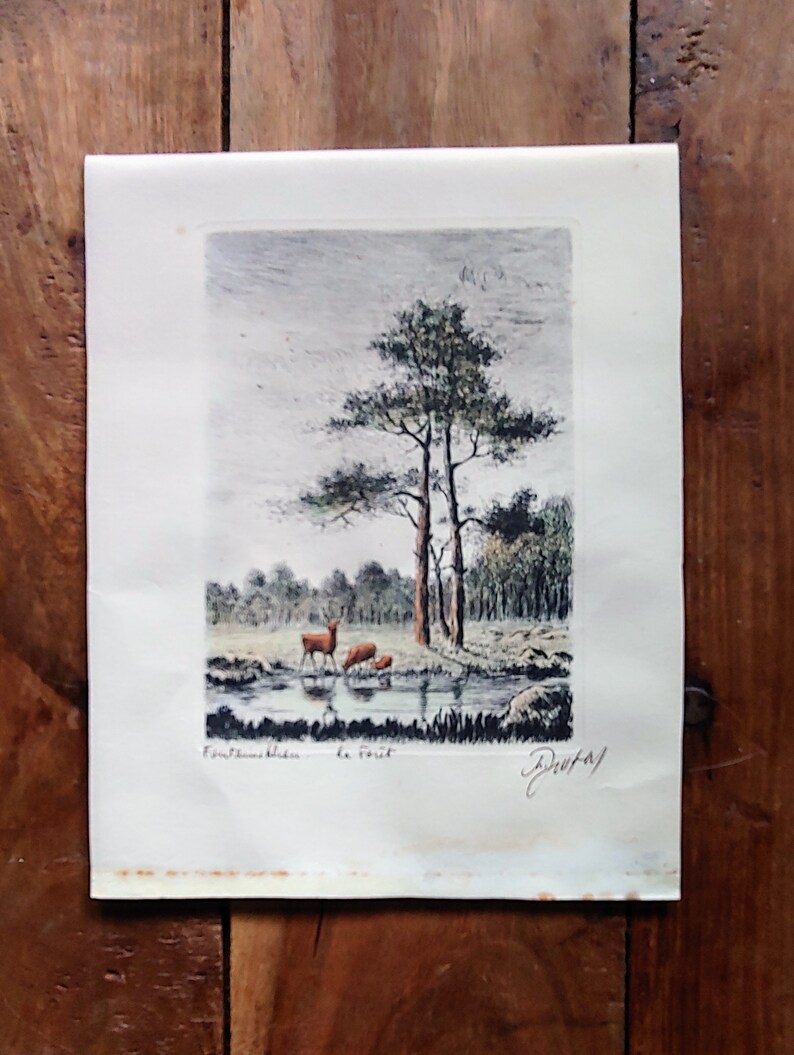 Maurice Jacques Etching La Foret De Fontainebleu French Art Etsy