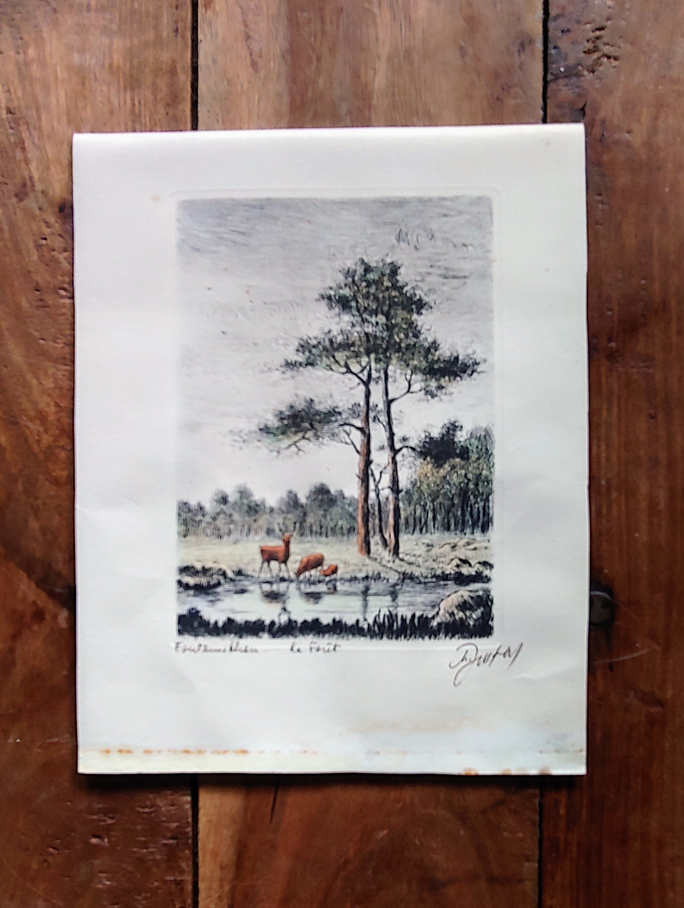 ベルナール・ビュッフェ「Foret de Fontainebleau」 ベルナール・ビュッフェ「Foret de Fontainebleau」