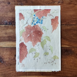 Kawarazaki Shodo-houtsneden Wilde wijnstokken Japanse kunst Japanse houtsneden Kawarazaki Shodo-kunstenaar