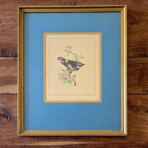 Antikes Aquarellgemälde von Lee Kennedy Originalkunst Vogelgemälde Ornithologiegemälde Vintage Texasgemälde Blumengemälde