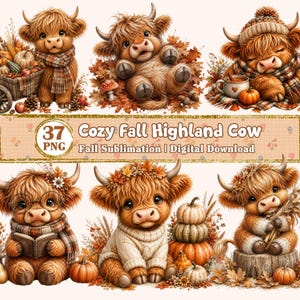 Puede incluir: Una colección digital de 37 imágenes PNG con vacas Highland esponjosas en entornos otoñales. Las ilustraciones incluyen vacas con calabazas, bufandas, gorros, libros y follaje de otoño. El texto dice 37 PNG Cozy Fall Highland Cow Fall Sublimation.
